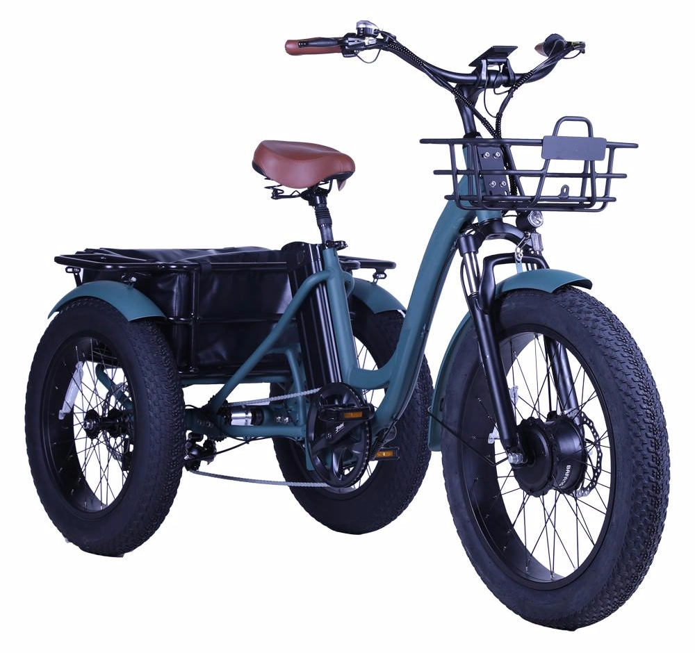 Cargo Electric Bike 500W Hub Motor 48V 13ah Fatbike 4.0inch Electric Tricycle Bike