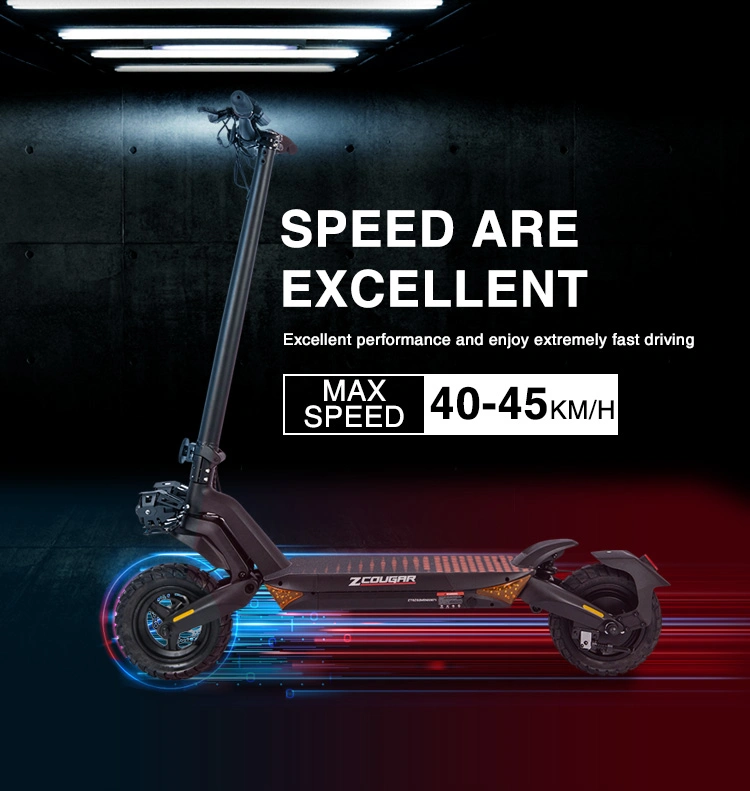 EU Warehouse Maxwheel 2000W Dual Motor 48V Powerful 10inch off Road E Adult Folding Electric Scooter