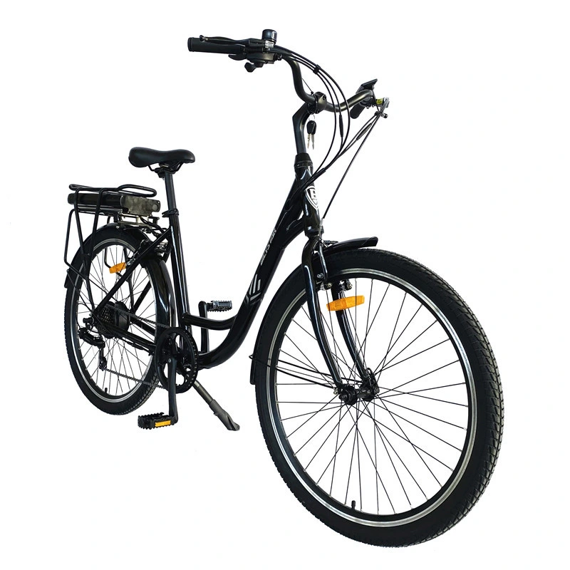 Cheapest Bicycle Electric Bikes 350W Bike China