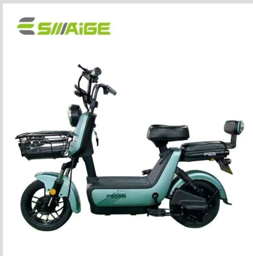 Saige Brand New Design Electric Bike for Canada and America Market