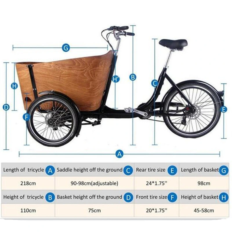 Wooden Frame Electric Adult Tricycle Trends 3 Wheels Dutch Cargo Bike Family Bicycle Kids Scooter for Sale