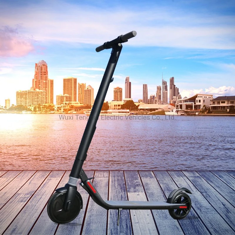 2021 Citycoco Electric Scooter Adult E Bike Small Kick Scooters Folding for Sale