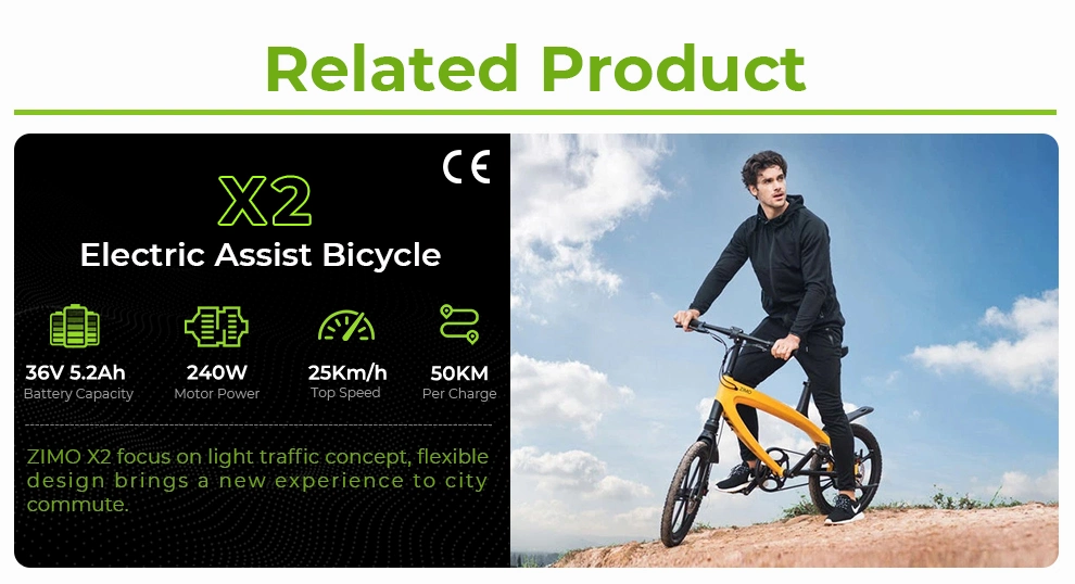2024 Popular 36V 240W E City Bicycle Sports Pedal Assist Electric Bike