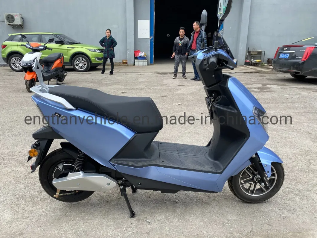 1000W 2 Wheel Electric Scooter/Electric Motorcycle/Electric Bike for Sale electric Moped