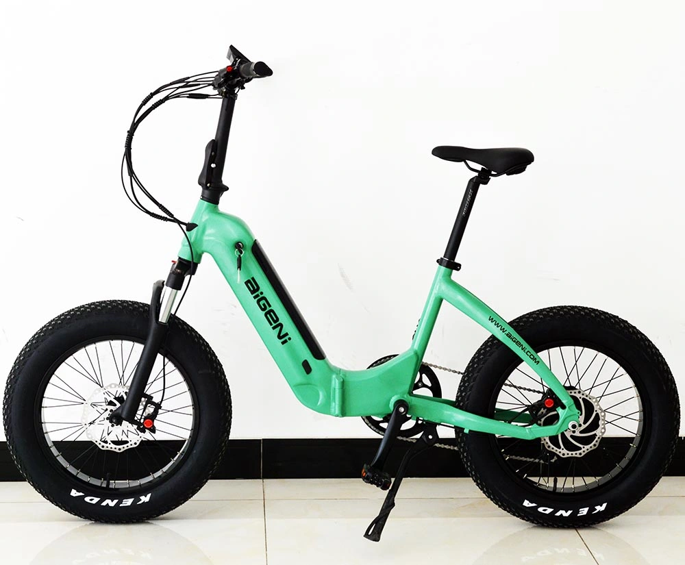 Wholesale Mini Electric Folding Bike with Hydraulic Disc Brake