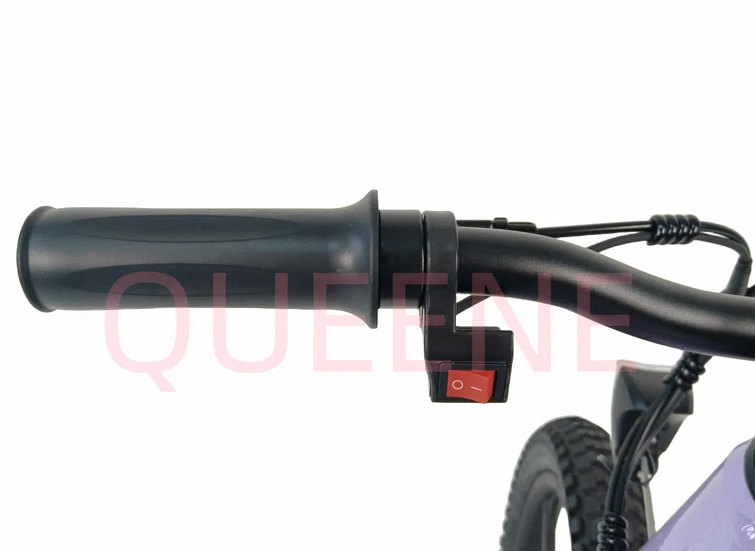 Queene/2023 Brand New Kids Electric Dirt Bike Electric Bikes for Kids Children