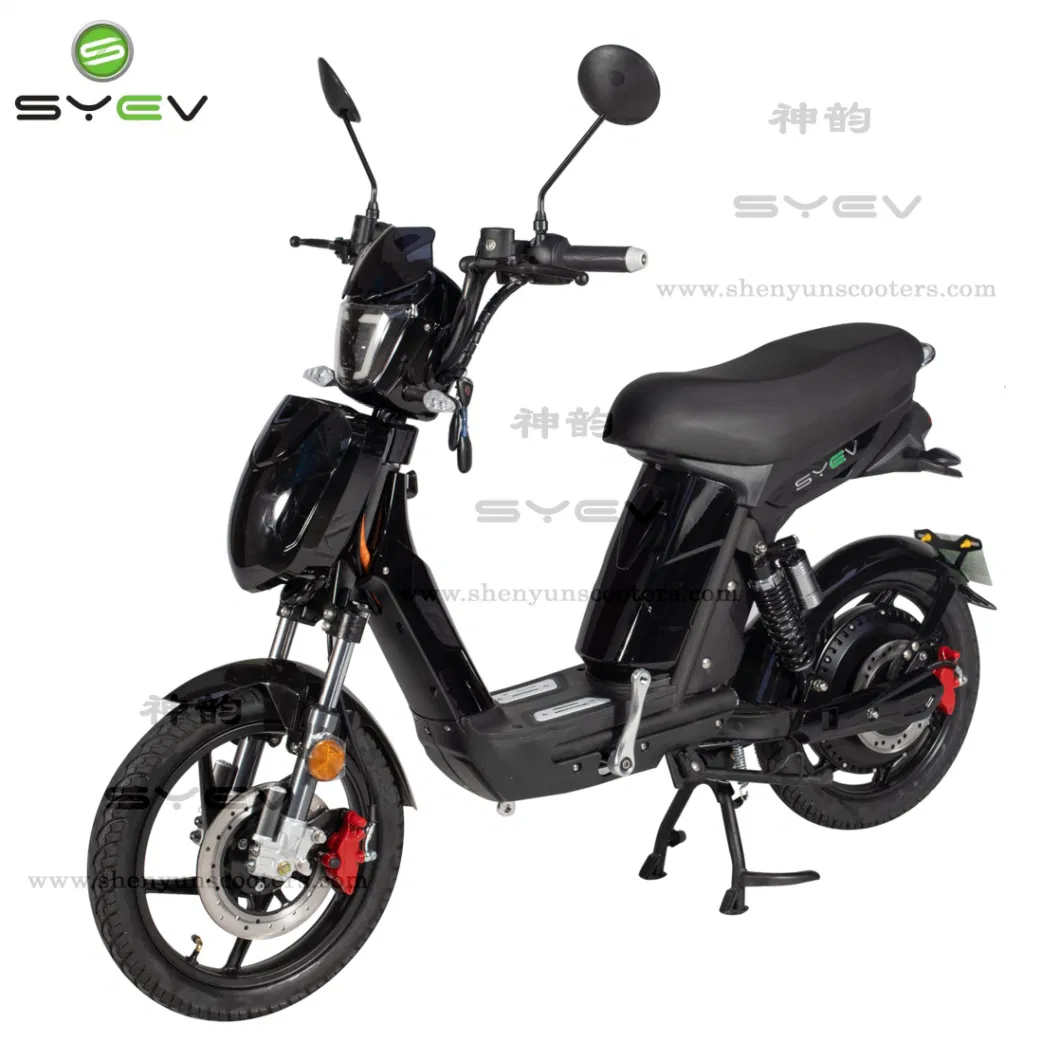 Syev EEC Electric Scooter for Adult with 800W Brushless DC Motor Shenyun