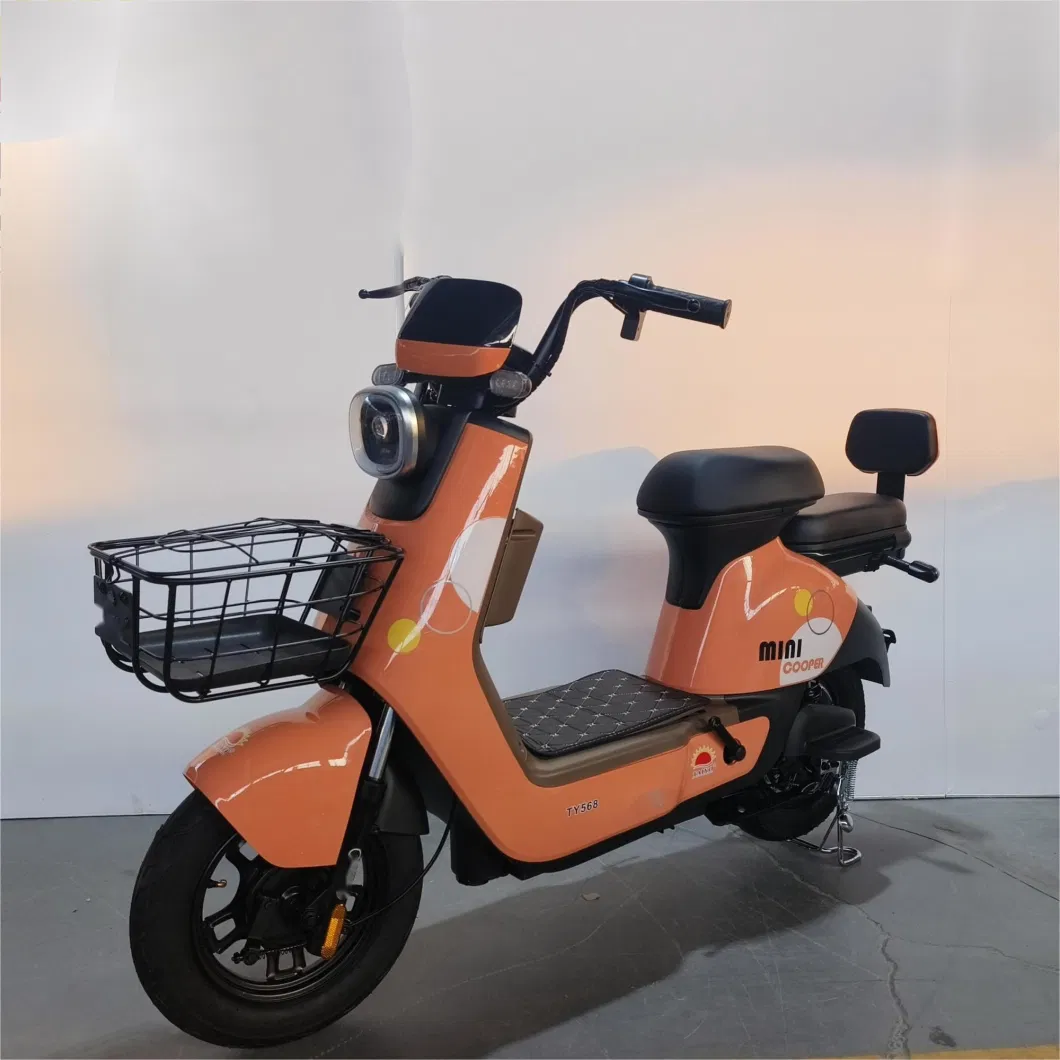 Willstar The Latest Electric Bike Ty568 with Chilwee Lead-Acid Battery Excellence Performance and Reliable and Durable Quality