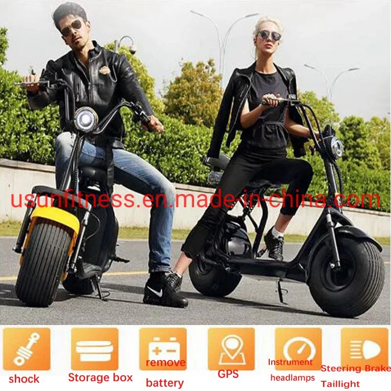 High Speed Folding Electirc Scooter Front Hub Motor Disk Brake Fat Tire Electric Trike for Leisure and Rental