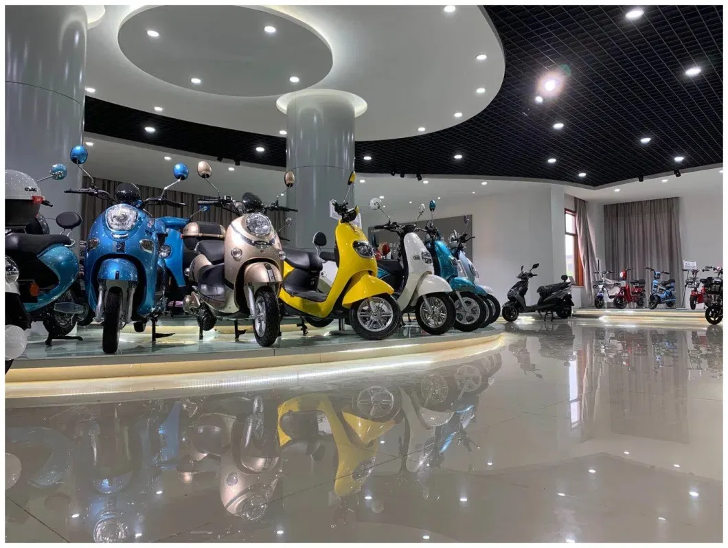 Chinese Electric Scooter High Speed off Road Good Quality Adult Electric Bike Scooter