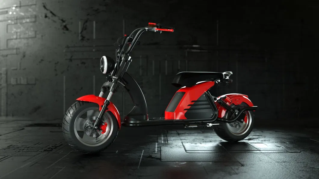 2000W/3000W 10inch/12inch Electric Citycoco Adult New Electric Scooter Motorcycle EEC