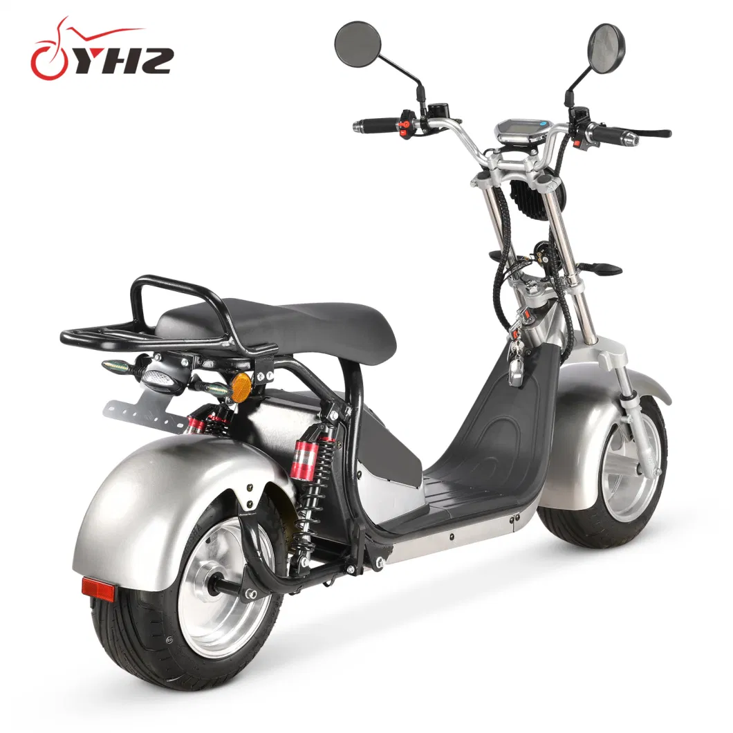 Adult 1500W 2000W Two Wheels Electric Scooter EEC Coc Big Seat New Design Motorcycle with Removable Lithium Battery 10-Inch Fat Tire Bike Road Legal