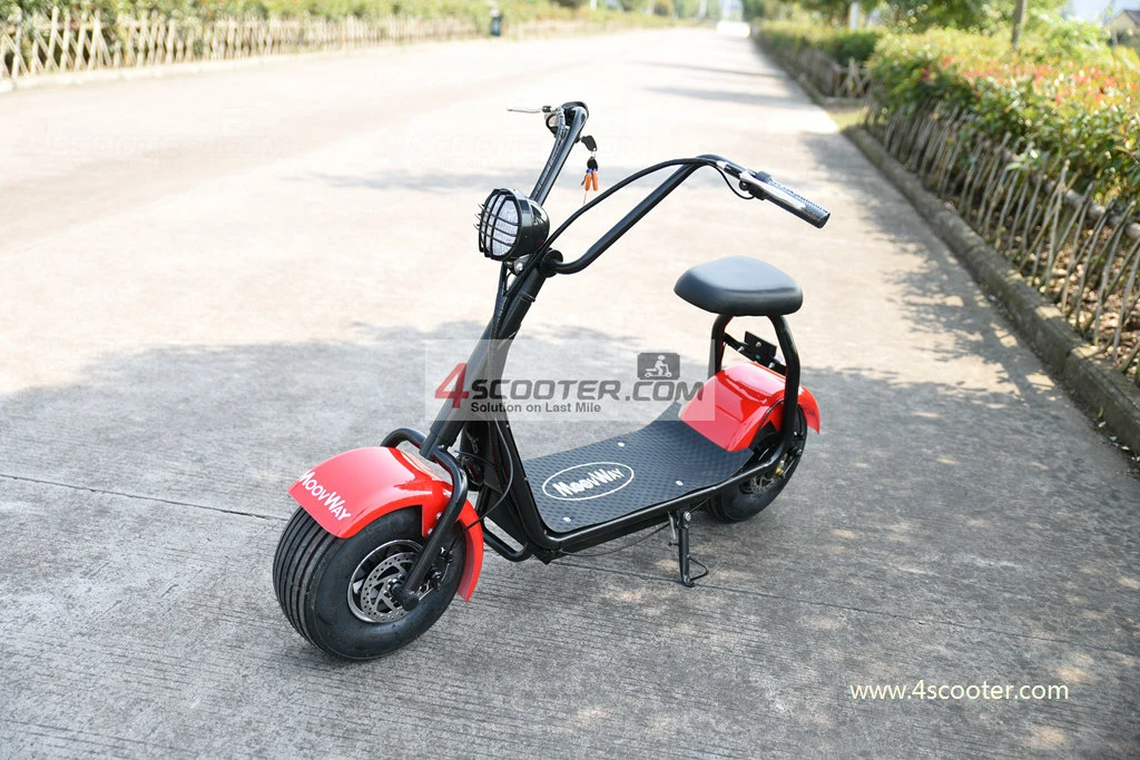 Factory Cheap Best Buying 1000W Electric Scooter Adult
