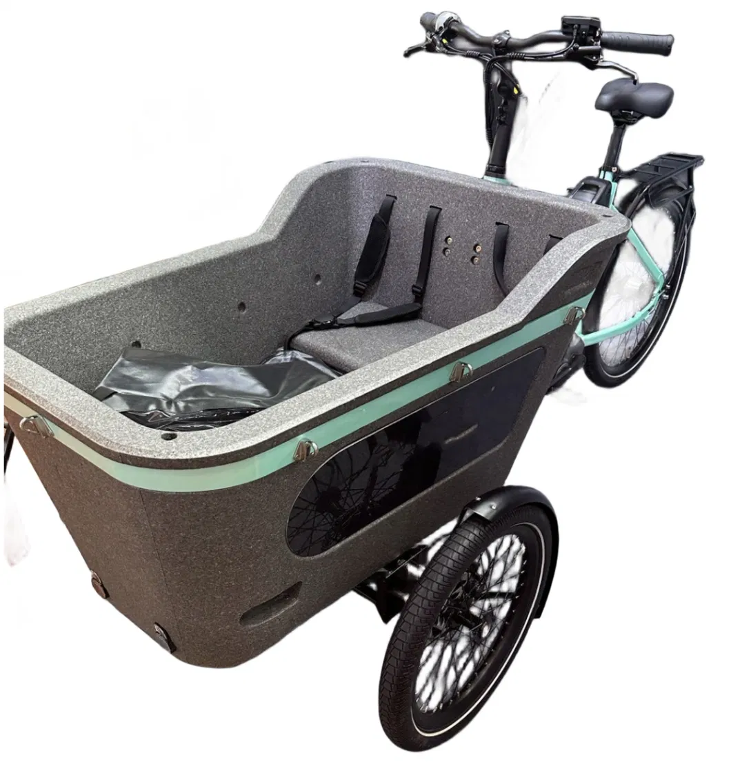 48V250W Cargo Electric Cargo Tricycle Electric Bike for Family with CE