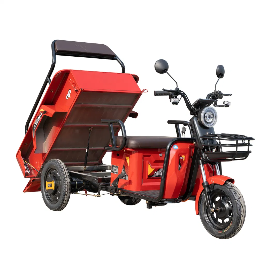 Electric Cargo Tricycle 1000W Electric Trike