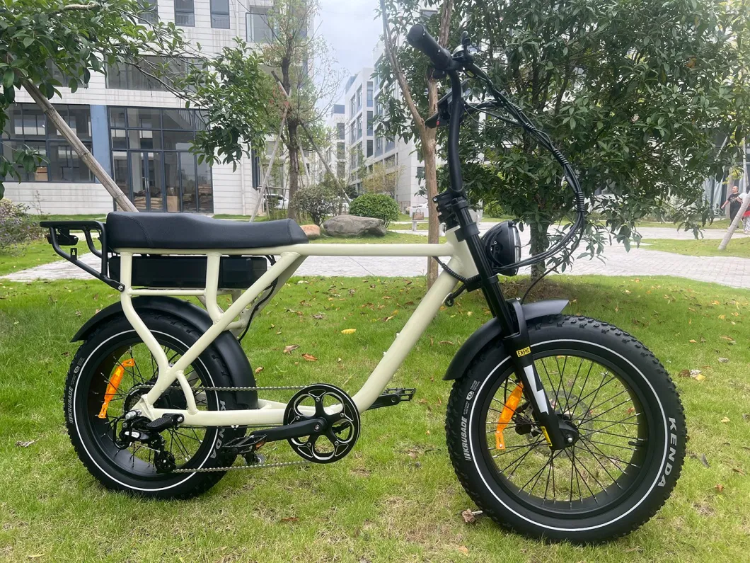 China Factory Sales 750W 1000W Rear Drive Fast Electric Mountain Bike Surron Retro Fat Ebike