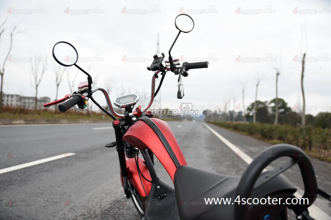 2 Wheel Bicycle Citycoco Moped Electric Direct Deliver From Electric Scooter Europe Warehouse