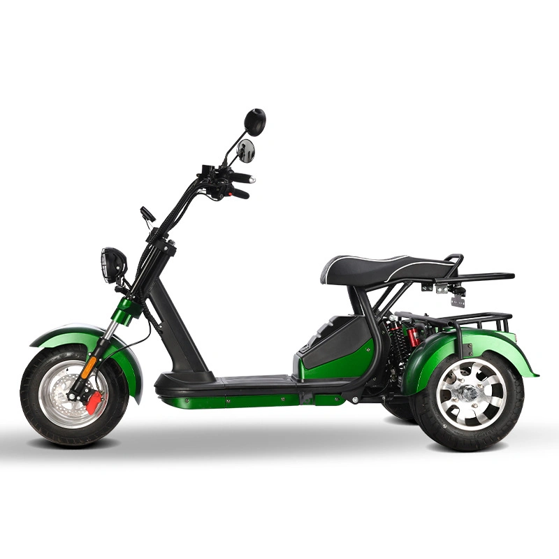 Golf Electric Bike Motorcycles Tricycle 2000W 60V 20ah EEC Coc Electric Scooter Bike Citycoco Model
