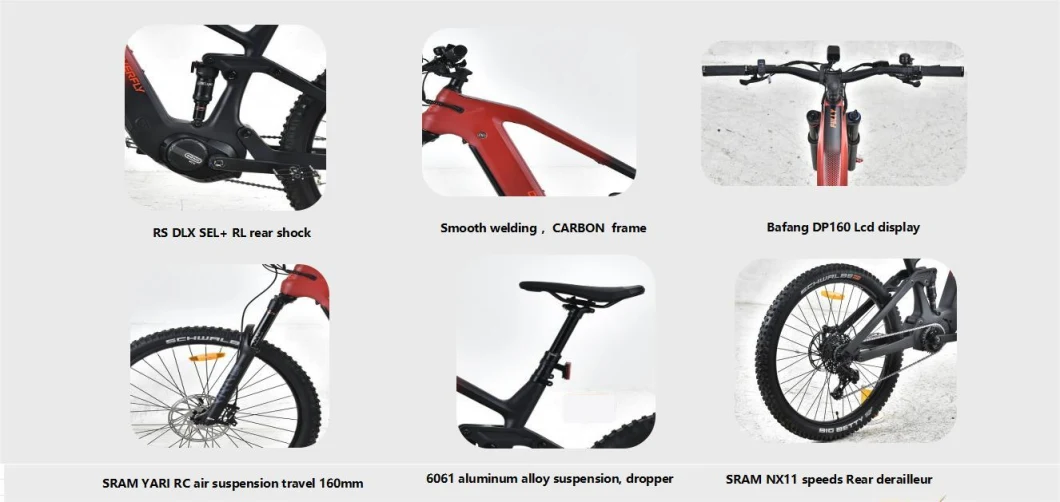 11 Speeds Electric Mountain Bike with Carbon Frame by China Manufacture