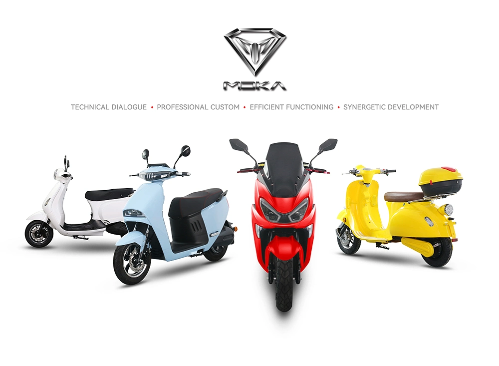 High Power 2000W 3000W 4000W 5000W Large Size Battery Wholesale Electric Motorcycle Motorbike Scooters