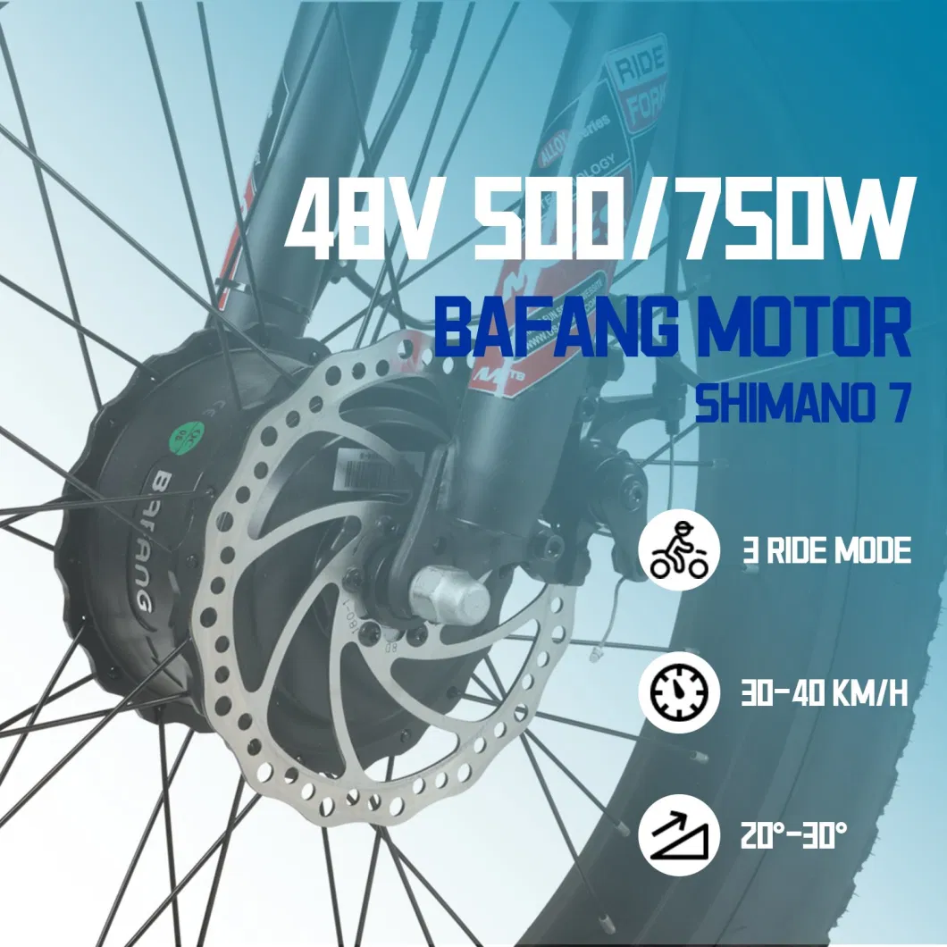 Cargo Electric Bike 500W Hub Motor 48V 13ah Fatbike 4.0inch Electric Tricycle Bike