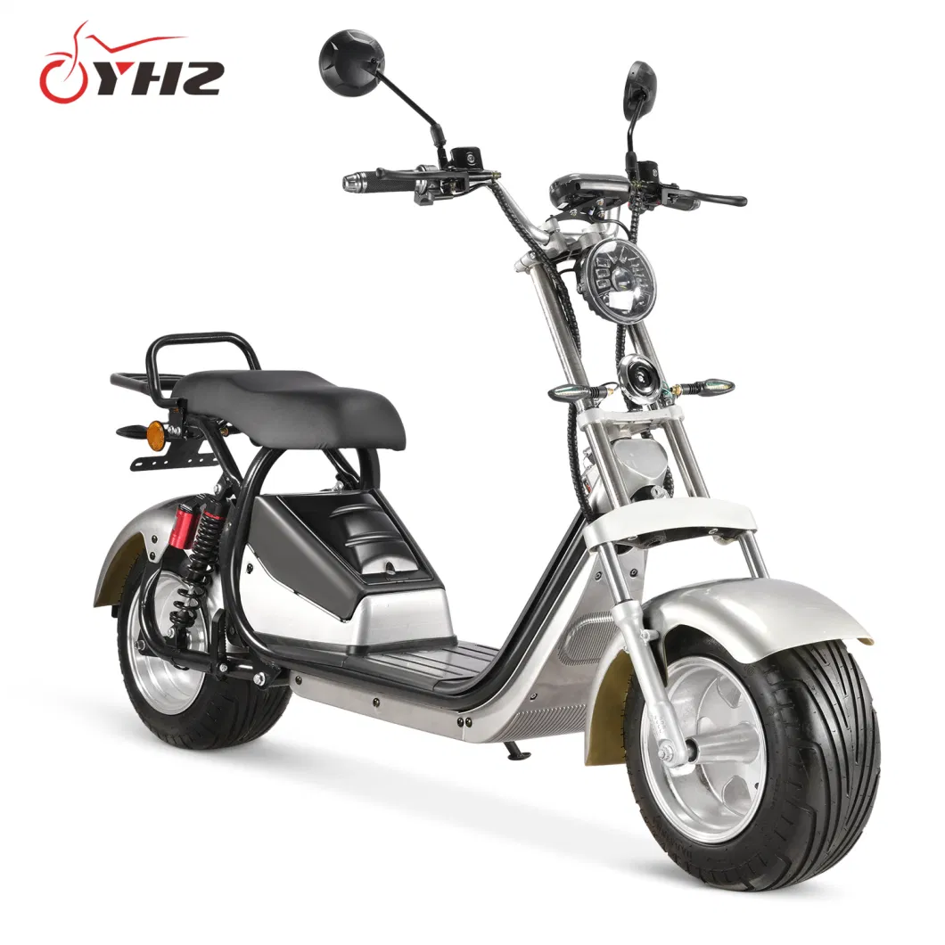 Adult 1500W 2000W Two Wheels Electric Scooter EEC Coc Big Seat New Design Motorcycle with Removable Lithium Battery 10-Inch Fat Tire Bike Road Legal