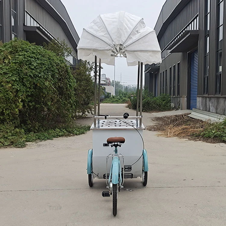 Factory Directly Supply Freezer Bike for Ice Cream Bike Outdoor Food Cart Tricycle Mall Kiosk Mobile Electric Ice Cream Cart