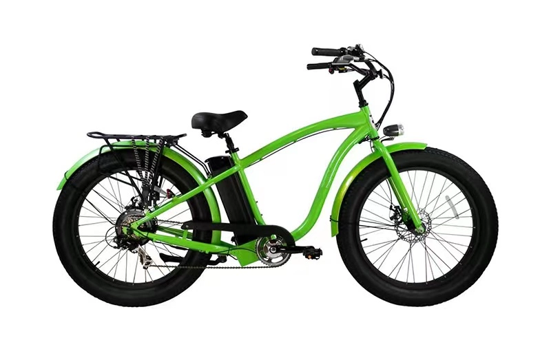 750W Brushless Motor Electric Bikes Buy Cheap Price for Sales Electric Bicycle