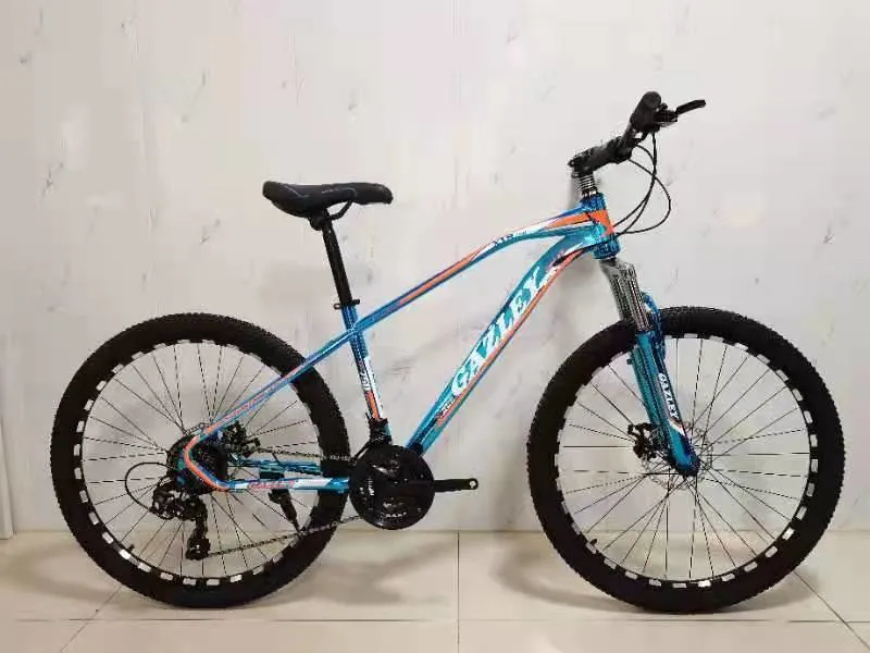 Brand New 2021 Mountain Bicycle E Bike MTB Bike Ready to Ship From Bicycle Supplier