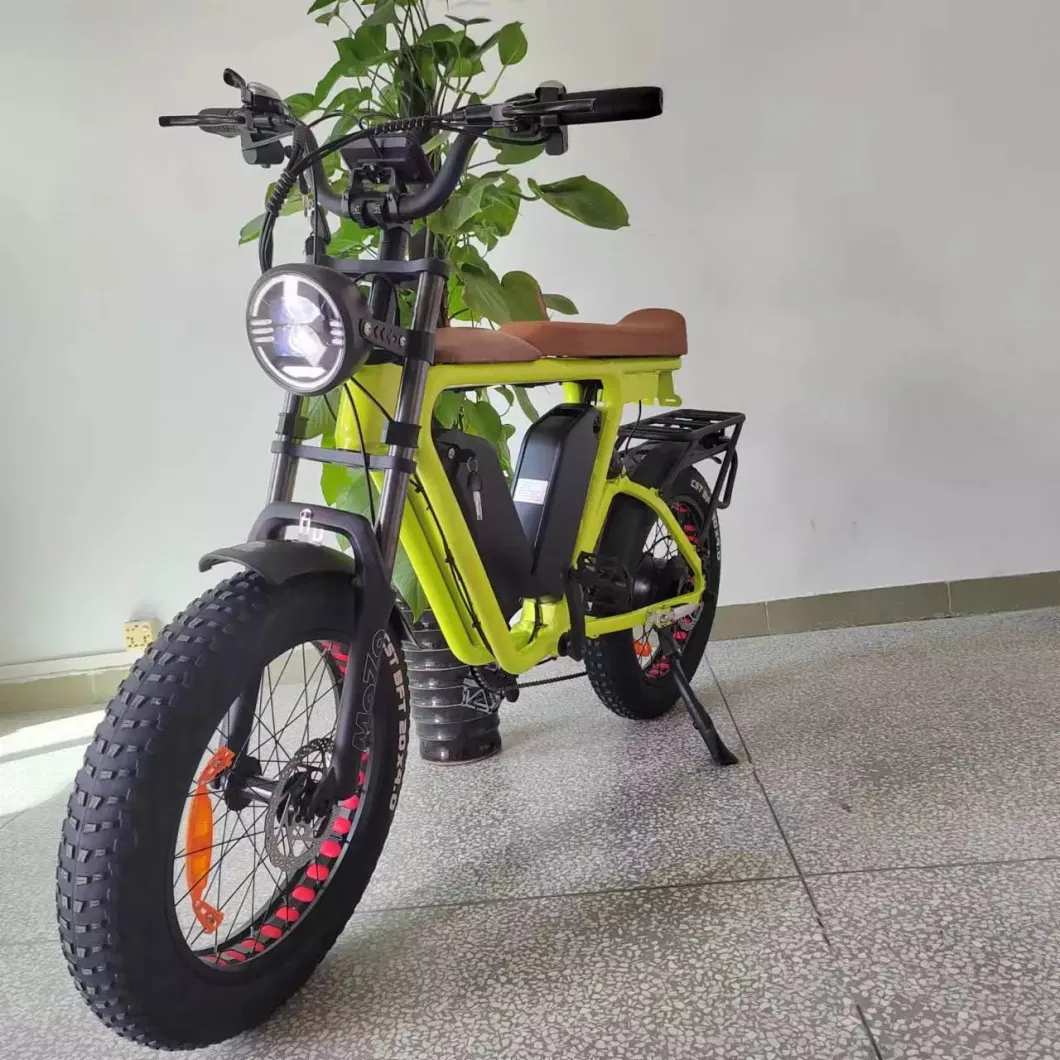 Dual Battery 22ah/48V*2 1000 W Motor Ebike