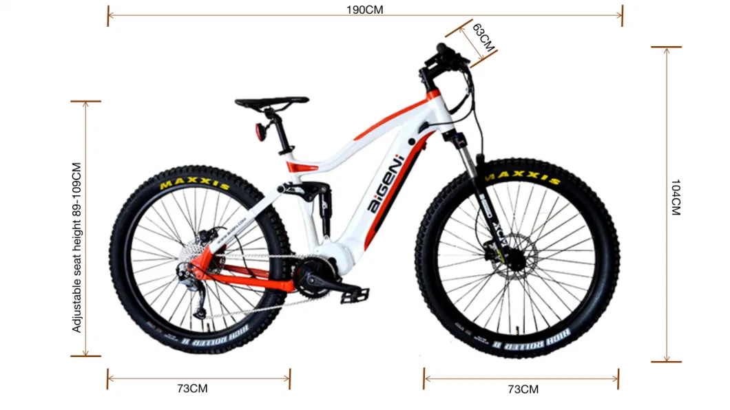 27.5 Inch Hot Sell Suspension Electric Bicycle Fat Tire Ebike MTB