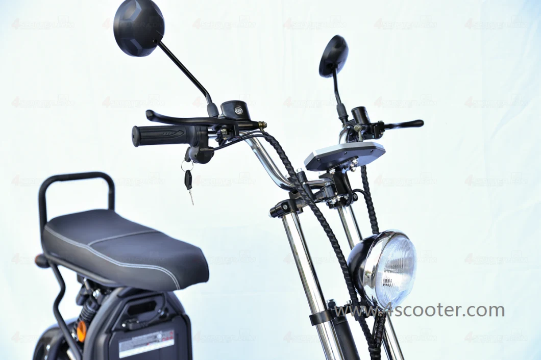 1000W 1500W 2000W Coc/EEC/CE Legal Electric Bike Motorcycle City Coco Scooter