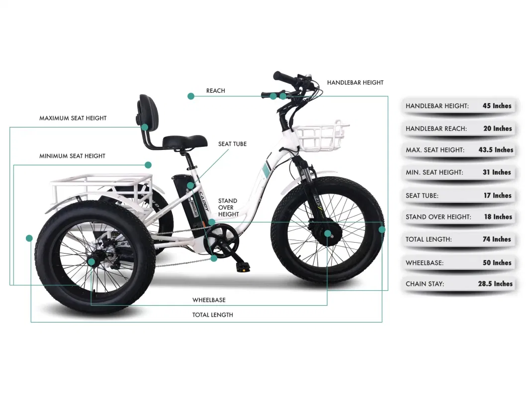 48V 20 Mph Maximum Speed 35 Miles Battery Range 3 Wheel Motorcycle Electric Trike Adults