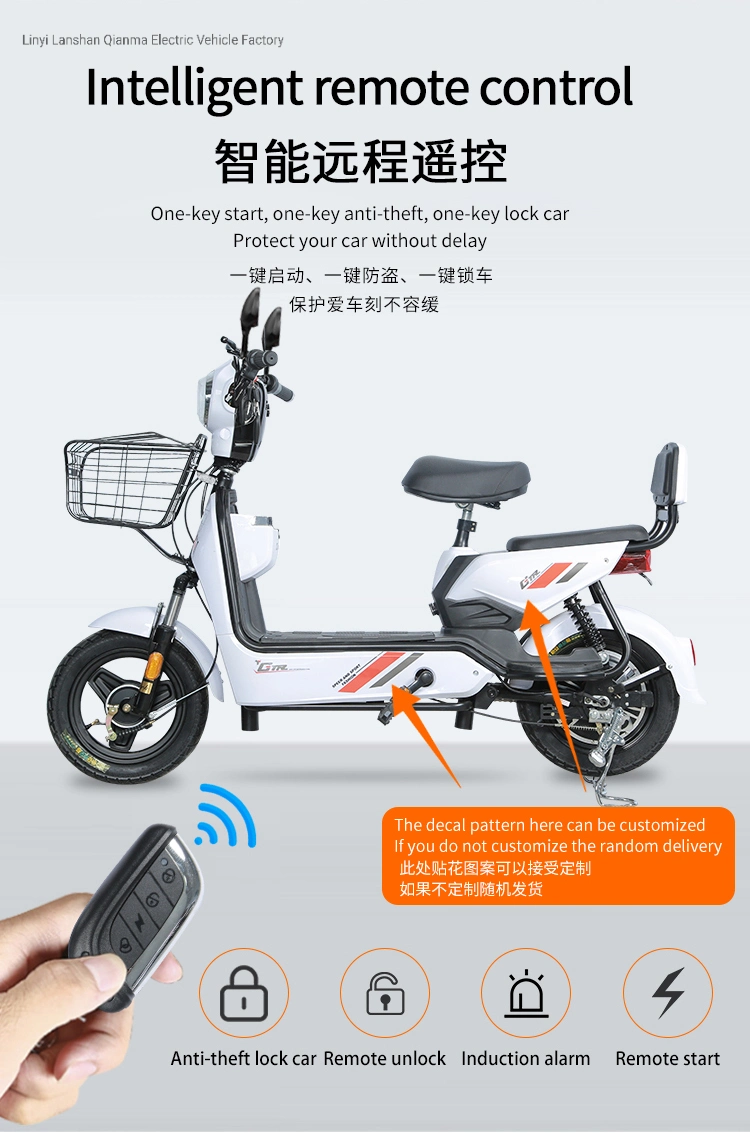 Adult Electric Bike for Sale China Factory