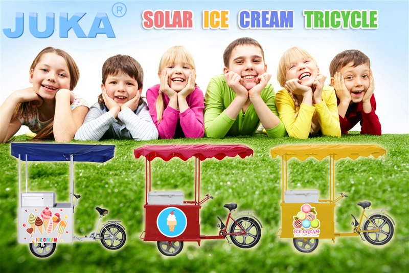 Electric Motorized Tricycle Solar Powered for Cold Drink and Donuts