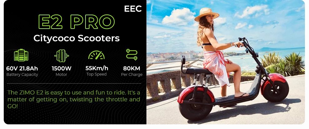 2023 Cheap Electric Bike 40km/h Scooter Electric City Bike E-Bike