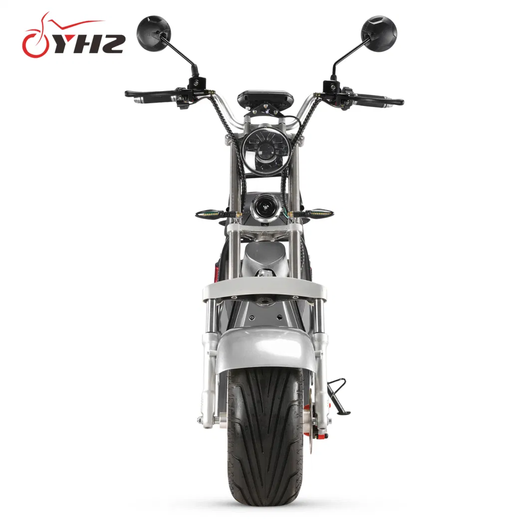 Adult 1500W 2000W Two Wheels Electric Scooter EEC Coc Big Seat New Design Motorcycle with Removable Lithium Battery 10-Inch Fat Tire Bike Road Legal
