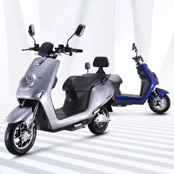Saige Electric Bike Adult 1000W Scooter Motorcycles High Speed Long Range Electric Scooter Niu Model Moped Mobility