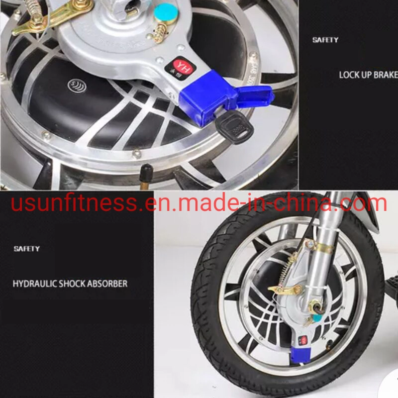 High Speed Folding Electirc Scooter Front Hub Motor Disk Brake Fat Tire Electric Trike for Leisure and Rental
