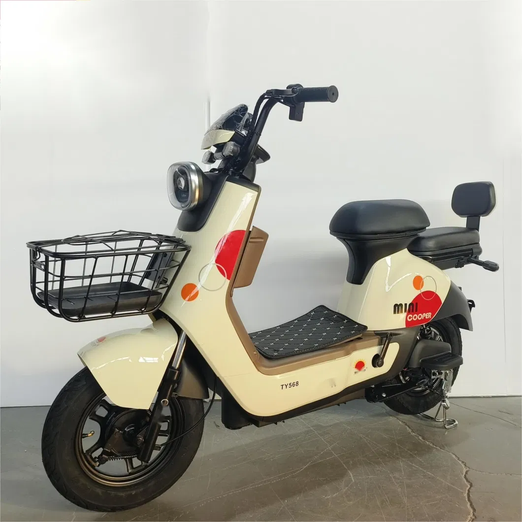 Willstar The Latest Electric Bike Ty568 with Chilwee Lead-Acid Battery Excellence Performance and Reliable and Durable Quality