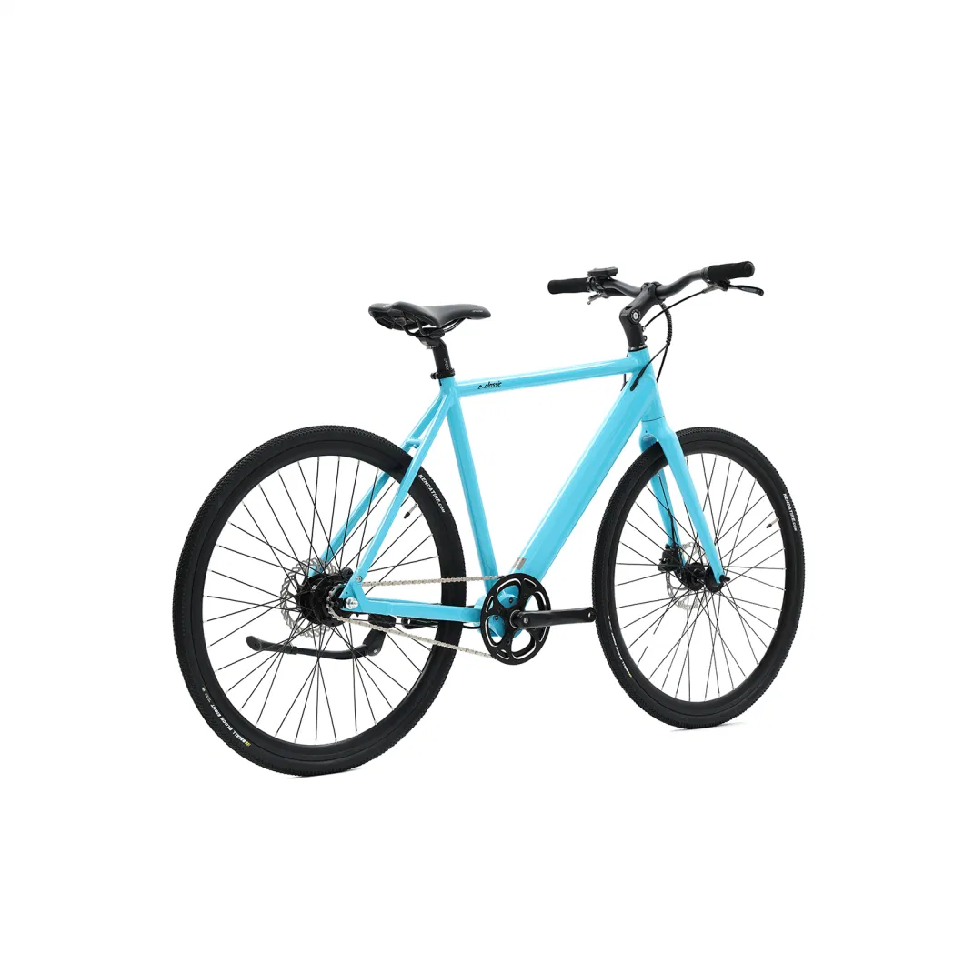 China ODM Factory Popular Trend Balanced and Powerful Hybird Light Weight Bike Ebike