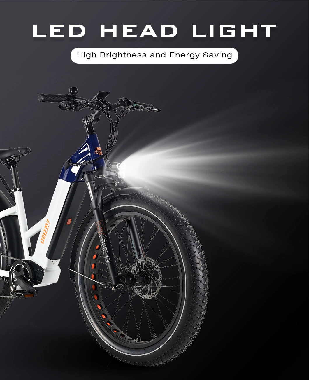 Fashion Ebike Popular Electric MTB with Removable 20ah Lithium Battery Electric Bike