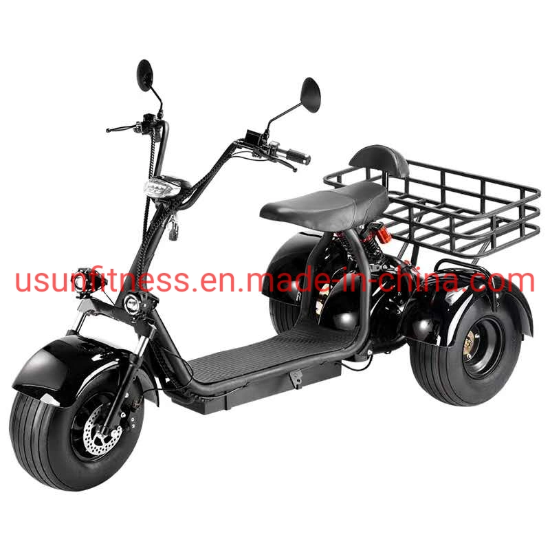 Farmer&prime; S Car Garden Cart Farmer&prime; S Tricycle Cargo Fat Tire Electric Scooter Motorcycle Bike Electric Tricycle Cargo Farmer&prime; S Car with CE