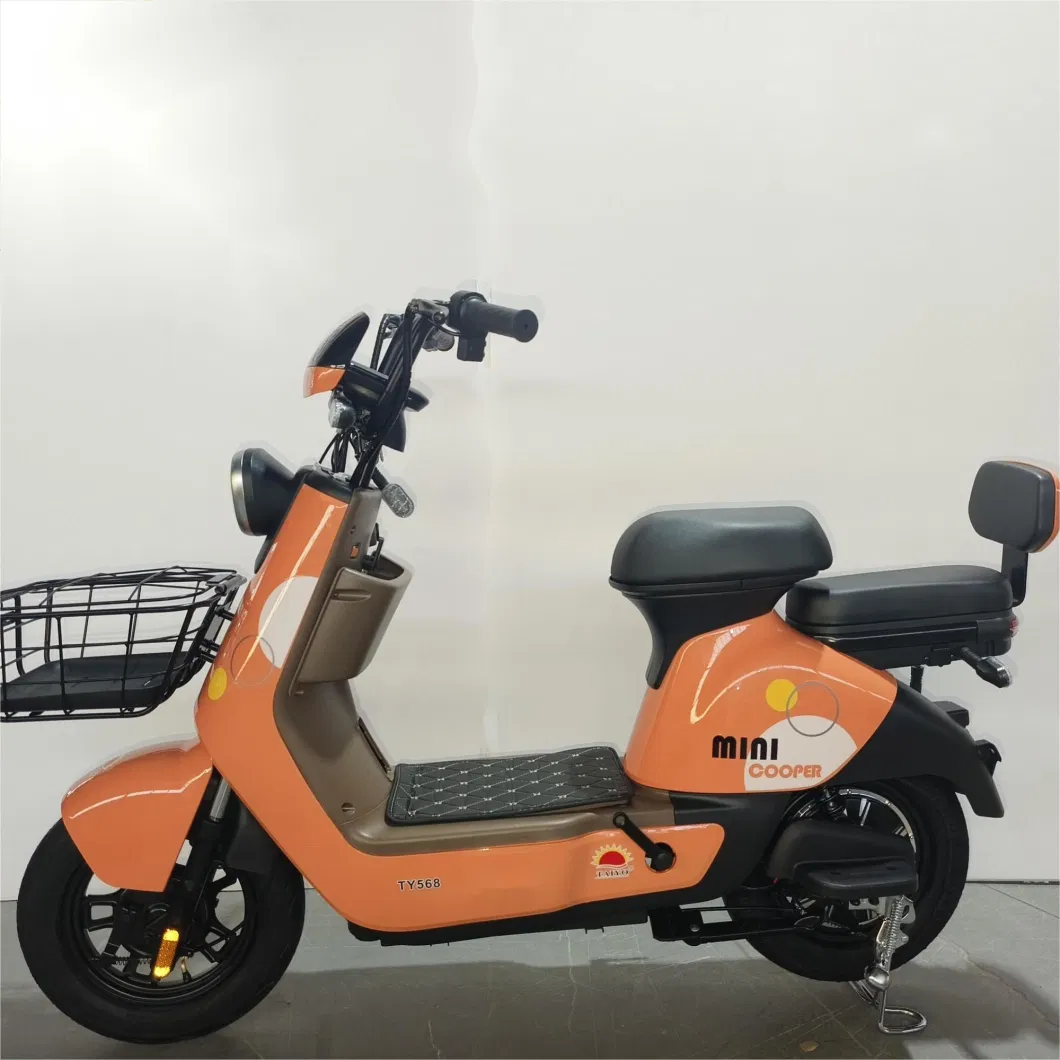 Willstar The Latest Electric Bike Ty568 with Chilwee Lead-Acid Battery Excellence Performance and Reliable and Durable Quality