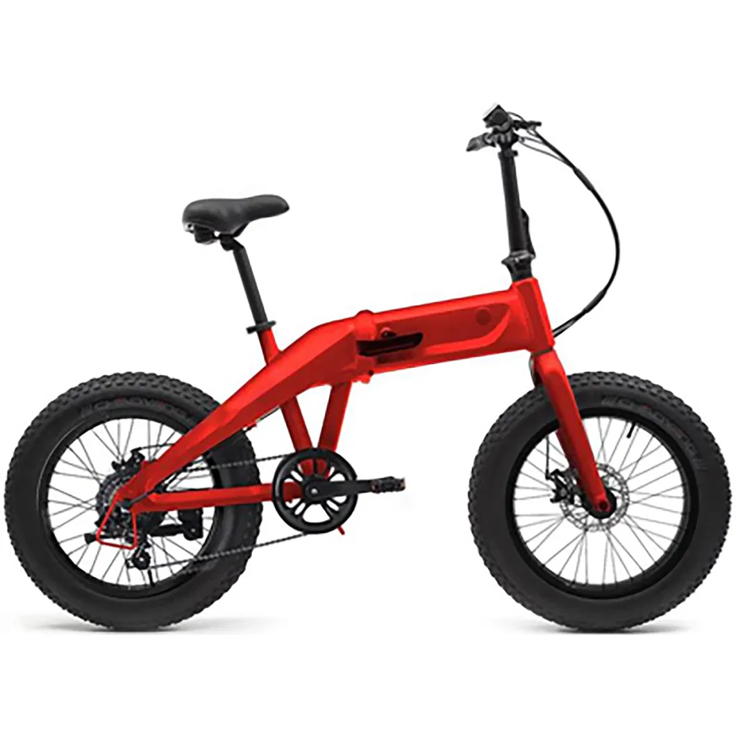 USA Assembly Plants 350W/500W750W/1000W Fat Tires Tour/Urban/City/Commute/Mini/Mountain/MTB/Dirt /Cargo Bike Foldable/Unfoldable Electric Ebicycle E Bicycle