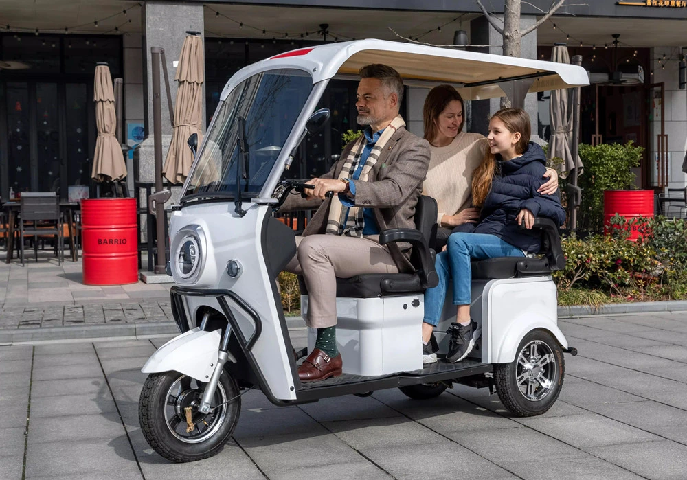 Electric Golf Car Mini MID Drive 3 Wheel Electric Scooter Adults Tricycle