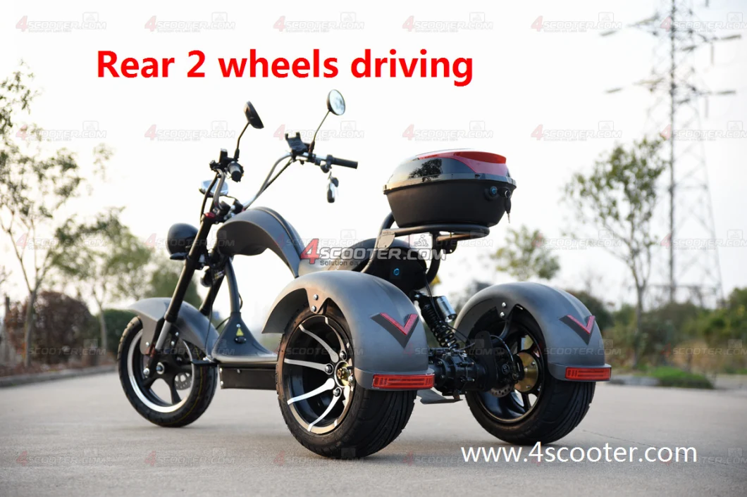 2000W 3000W 4000W 20ah Three Wheel Electric Motorcycle Trike Scooter