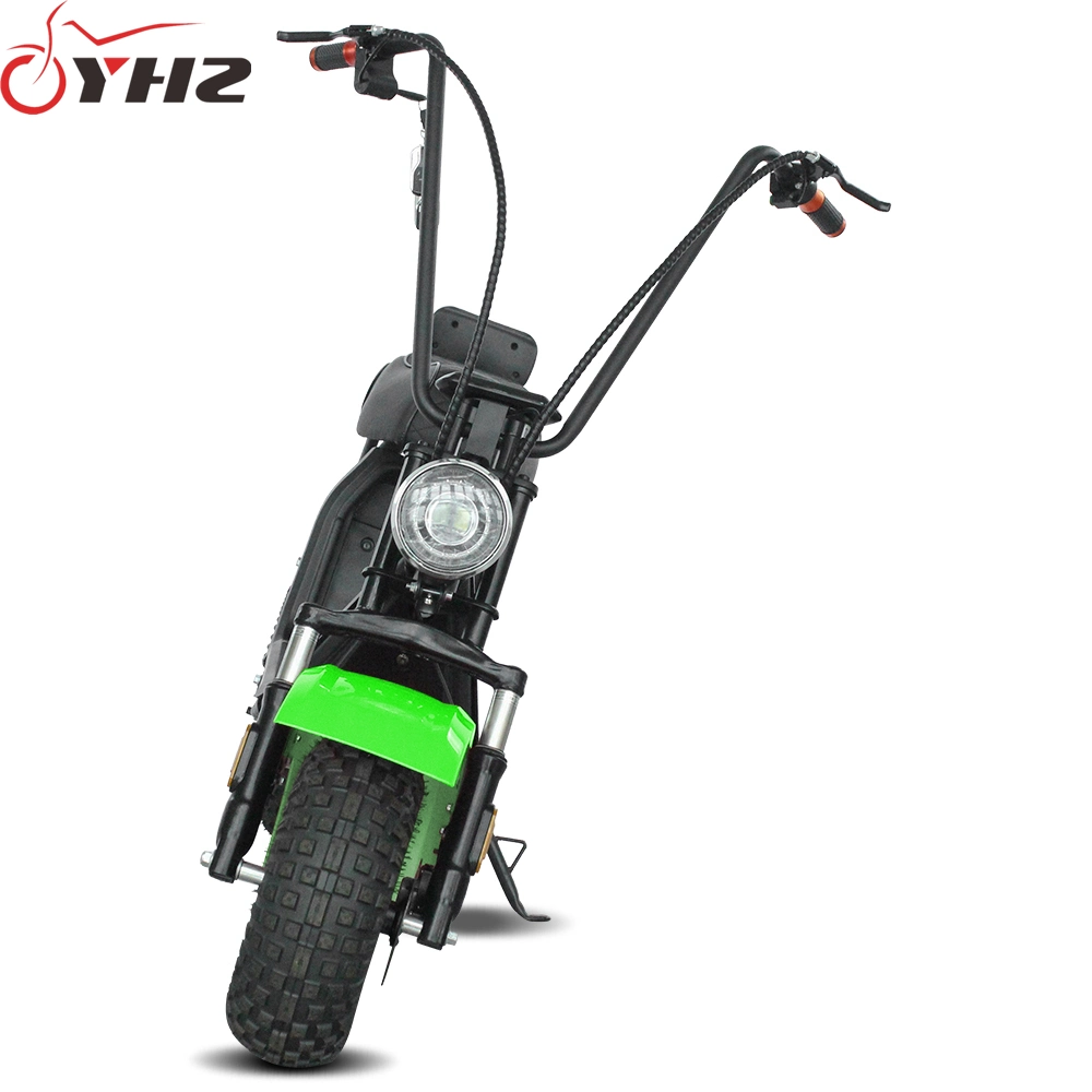 Smart 800W 48V Electric Bicycle Adult Scooter CE Approved with off-Road Tire