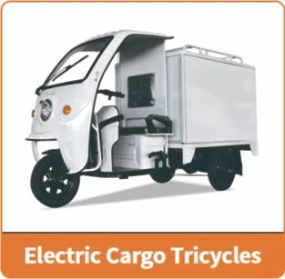 Adult Electric Cargo/Passager Tricycle 3 Wheels Bike