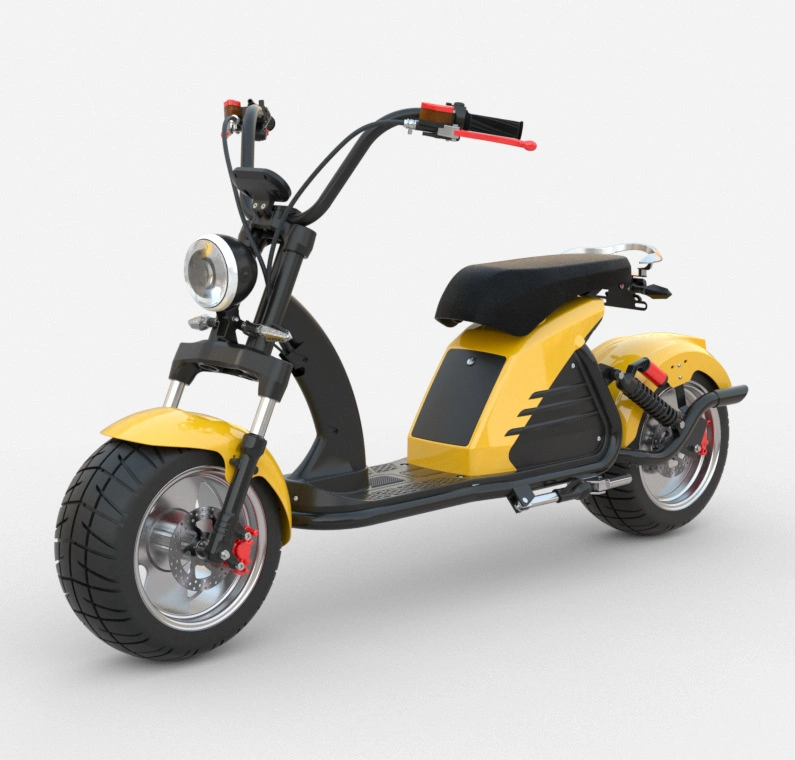 2000W/3000W 10inch/12inch Electric Citycoco Adult New Electric Scooter Motorcycle EEC